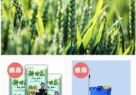 广西农业信息网,展示广西农业发展风采