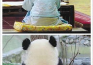 娱乐圈吃瓜群众的句子,揭秘明星幕后故事