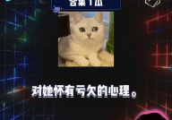 吃瓜娱乐新闻,吃瓜群众揭秘明星幕后故事