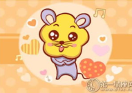2019是什么生肖年,生肖运势解析与生活启示