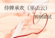 《侍婢承欢》,宫廷权谋与爱情纠葛的华丽演绎