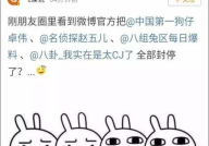 娱乐吃瓜大事件,揭秘年度最热吃瓜大事件