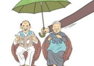 养老分红保险,构建安心退休生活的金融保障策略”