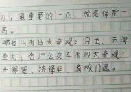 娱乐吃瓜酱小学生作文,小学生眼中的娱乐圈风云
